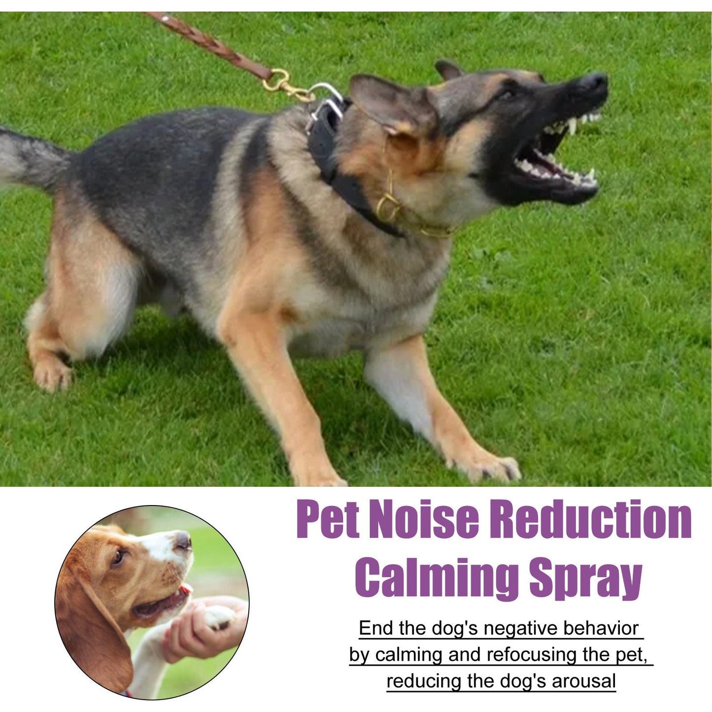Vaporisateur anti-bruit pour animaux de compagnie Apaisant pour animaux de compagnie d'humeur calme
